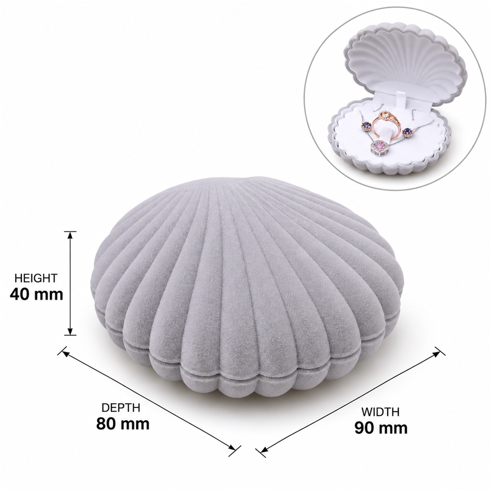 Medium Flocked Scallop-Shell Jewelry Box size and structure